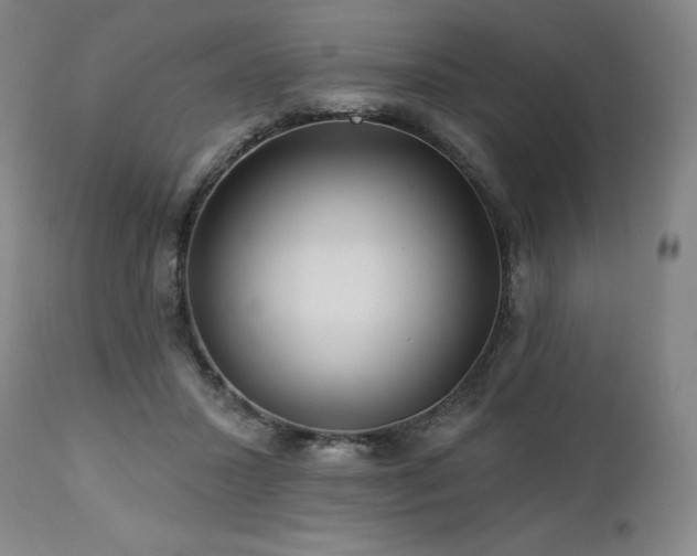 X0000113120407200908281442