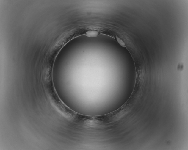 X0000113120408200908281442