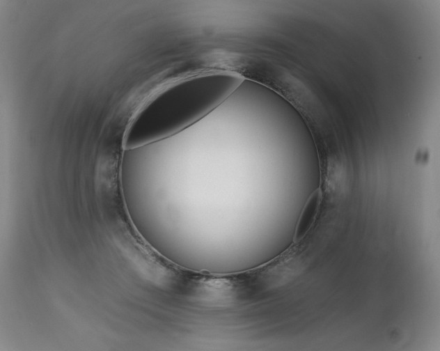 X0000113120409200908281442