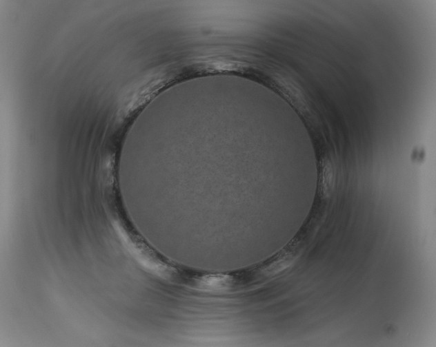 X0000113120410200908281442