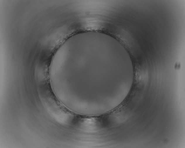 X0000113120411200908281442