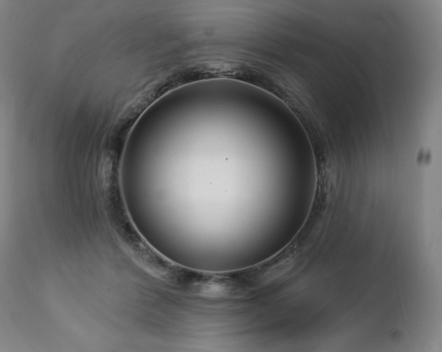 X0000113120412200908281442