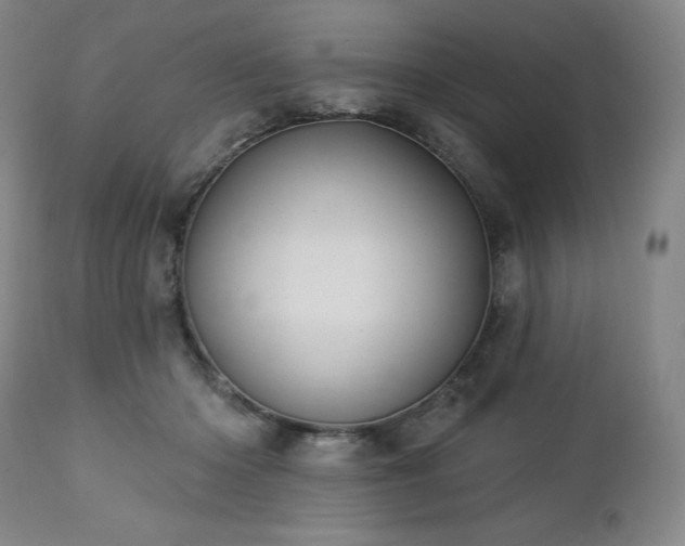 X0000113120414200908281442