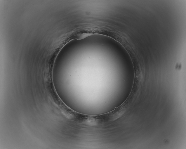 X0000113120416200908281442