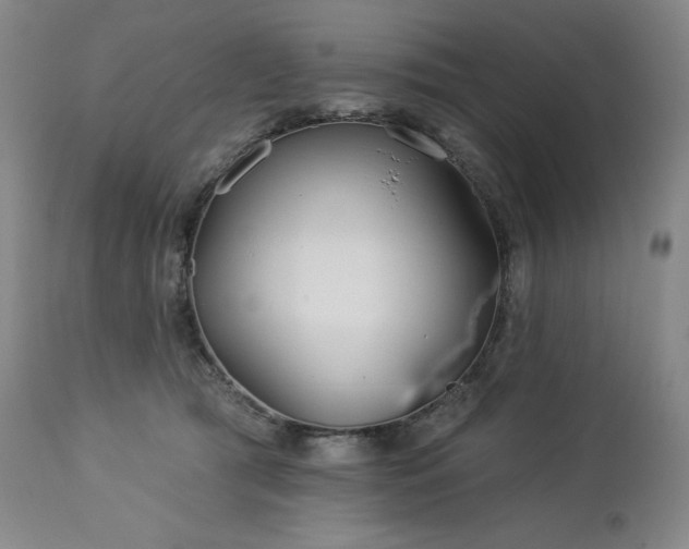 X0000113120417200908281442