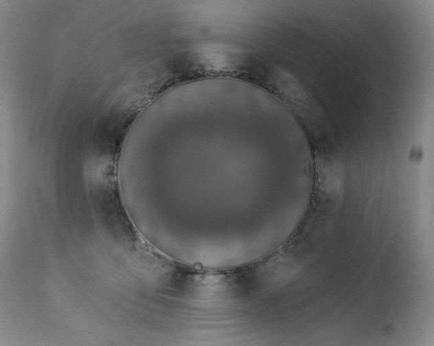 X0000113120419200908281442