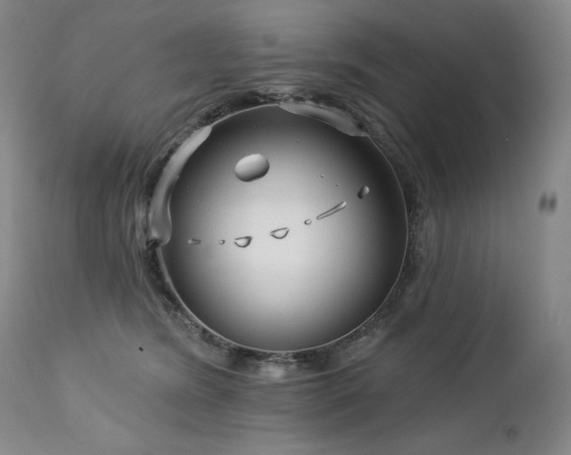 X0000113120420200908281442