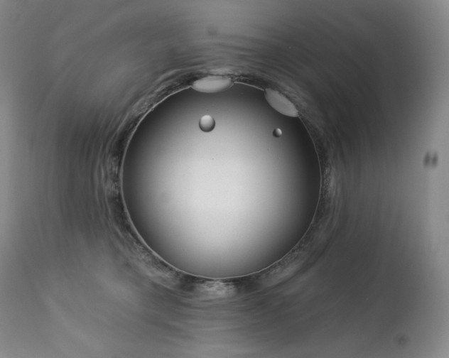 X0000113120421200908281442