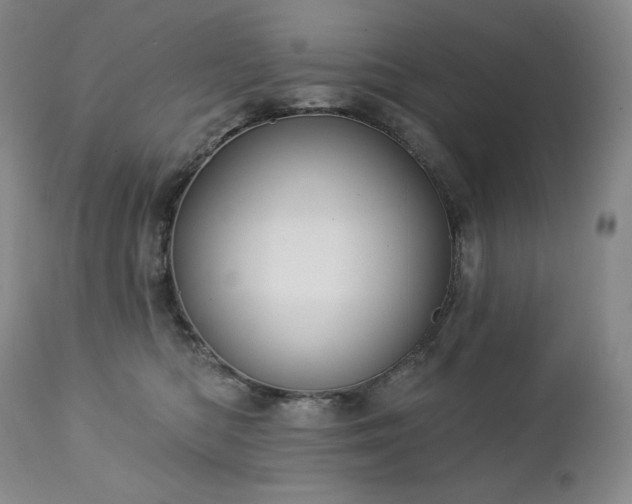 X0000113120422200908281442