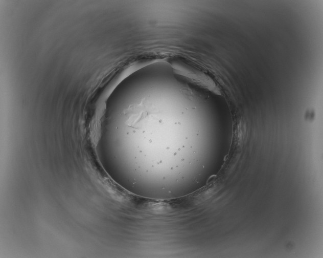 X0000113120424200908281442