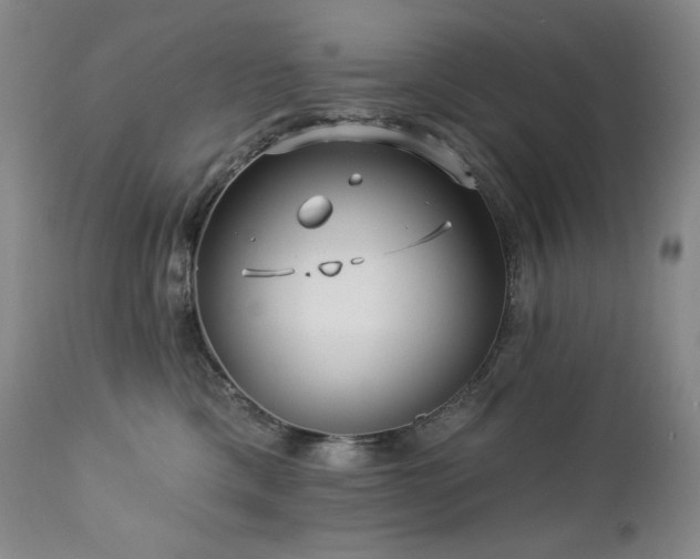 X0000113120425200908281442