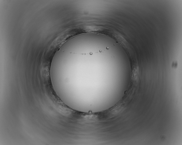 X0000113120426200908281442