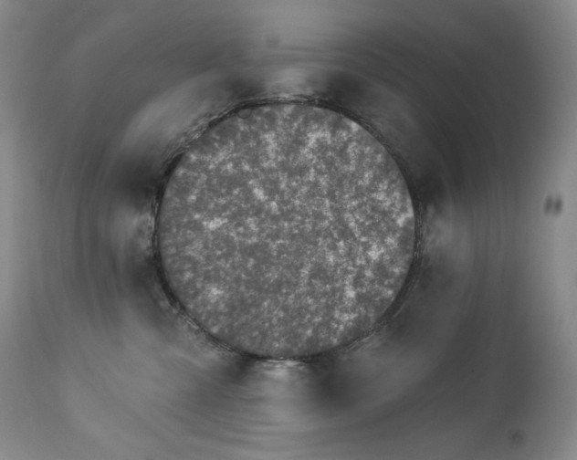 X0000113120427200908281442