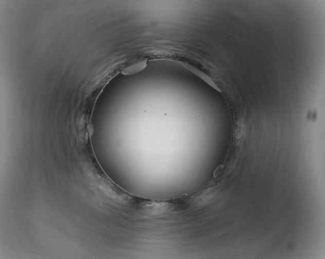 X0000113120428200908281442