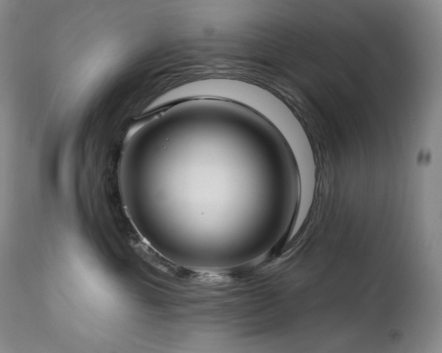 X0000113120429200908281442