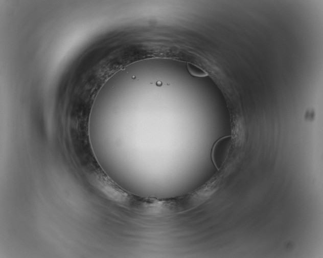 X0000113120430200908281442