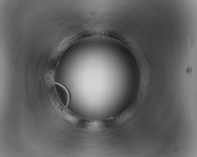 X0000113120432200908281442