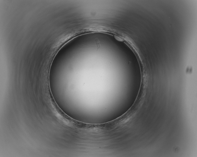 X0000113120433200908281441