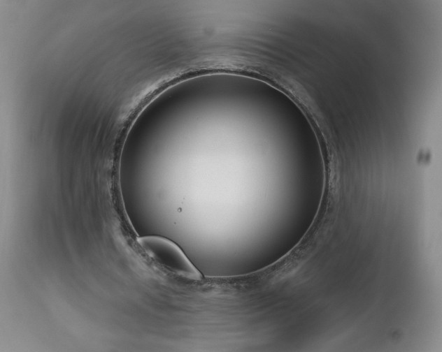 X0000113120434200908281441