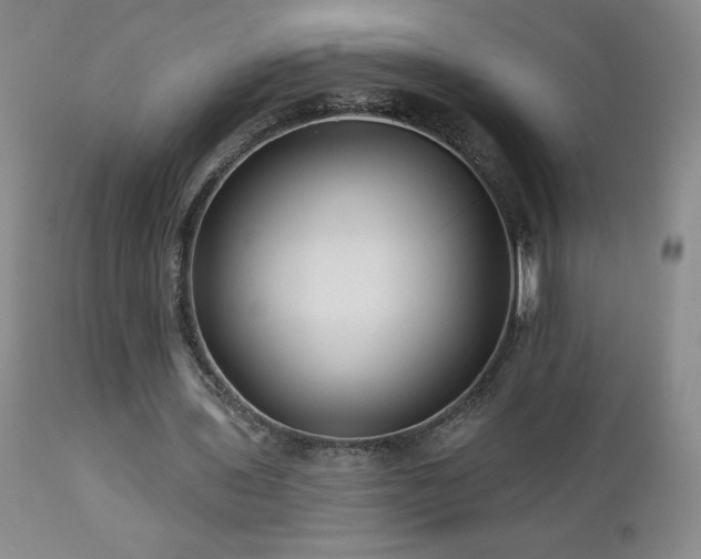 X0000113120435200908281441