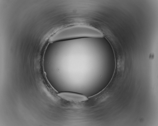 X0000113120436200908281441