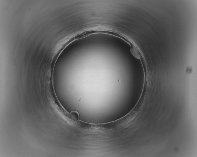 X0000113120437200908281441