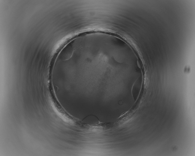 X0000113120438200908281441