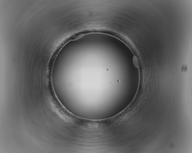 X0000113120439200908281441