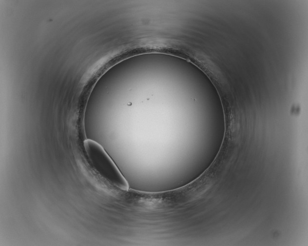 X0000113120440200908281441