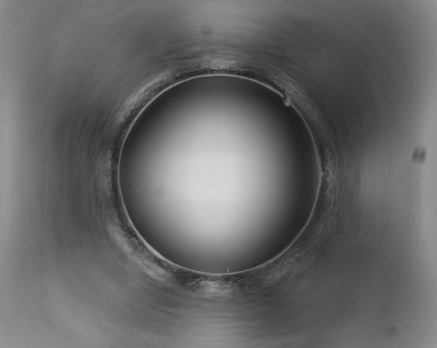 X0000113120442200908281441