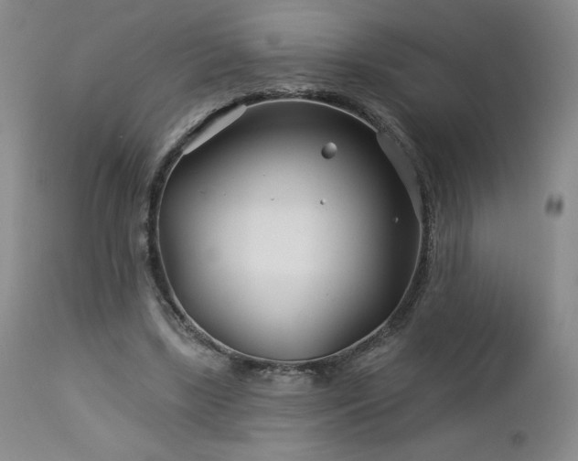 X0000113120443200908281441