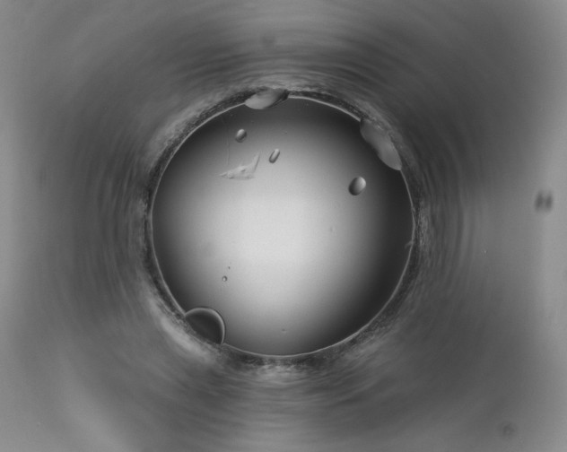 X0000113120445200908281441