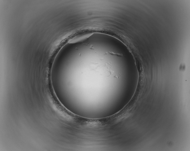 X0000113120446200908281441