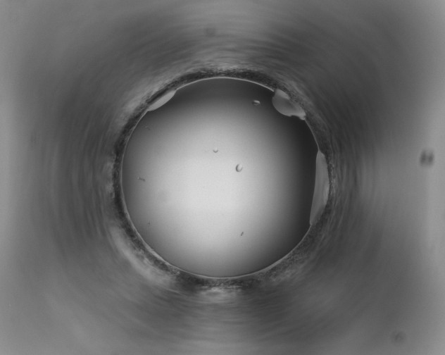 X0000113120447200908281441