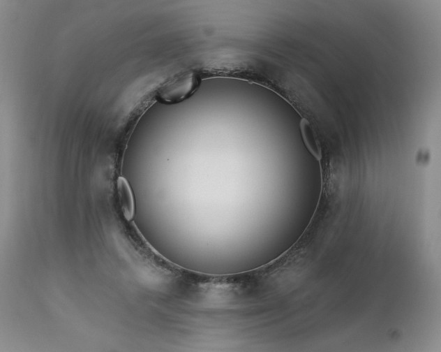 X0000113120448200908281441