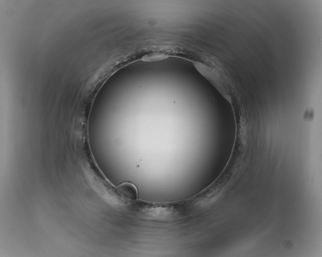 X0000113120449200908281441