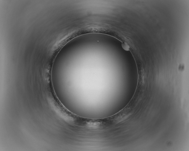 X0000113120450200908281442