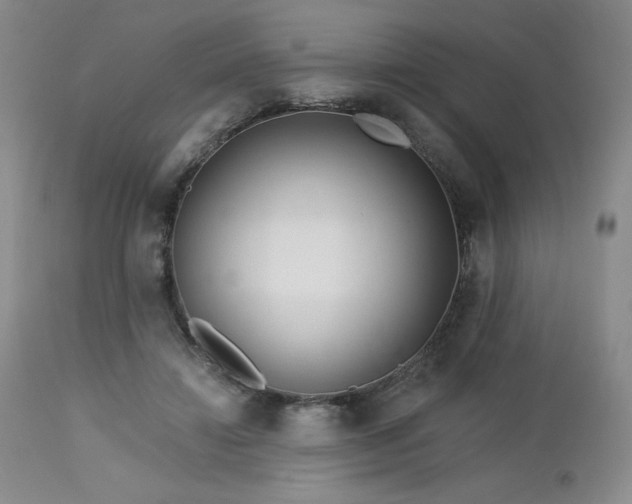 X0000113120452200908281442