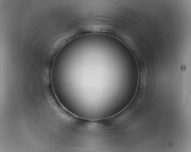 X0000113120453200908281442