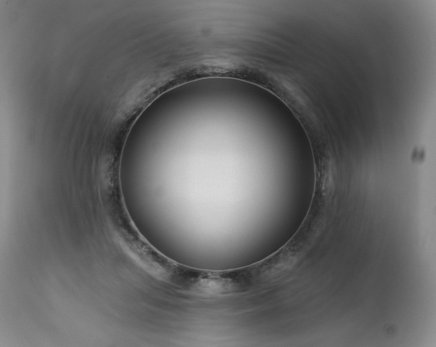 X0000113120455200908281442