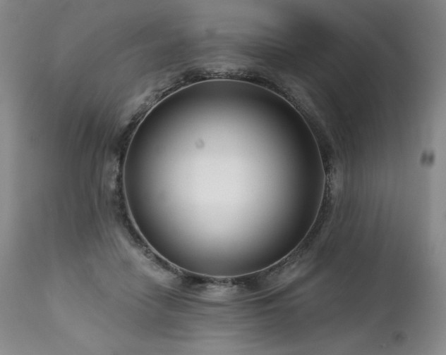 X0000113120458200908281442