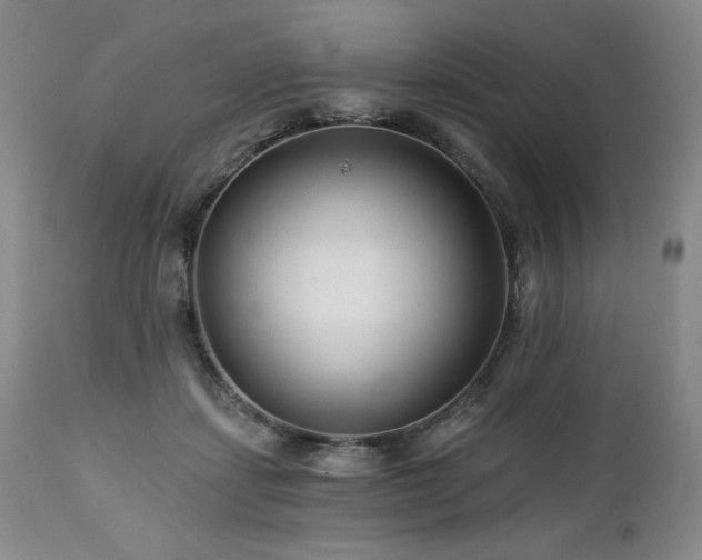 X0000113120459200908281442