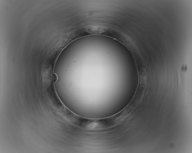 X0000113120460200908281442