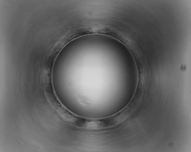 X0000113120461200908281442