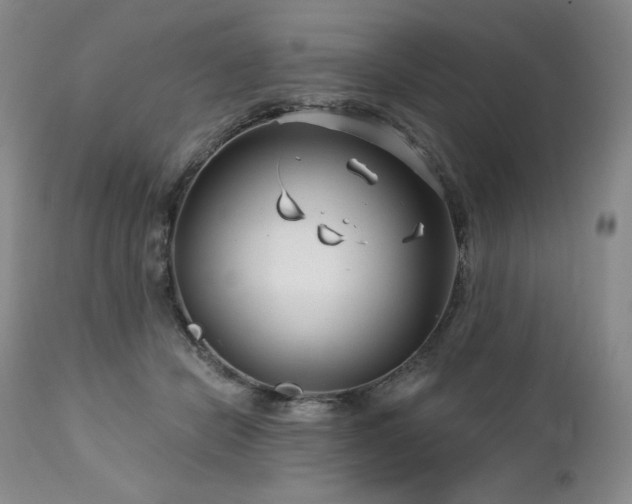 X0000113120462200908281442