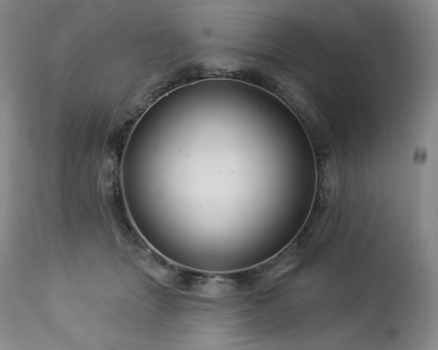 X0000113120463200908281442