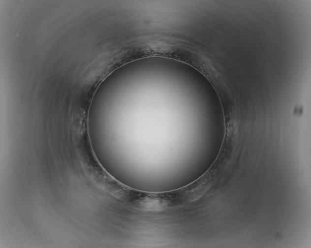 X0000113120464200908281442