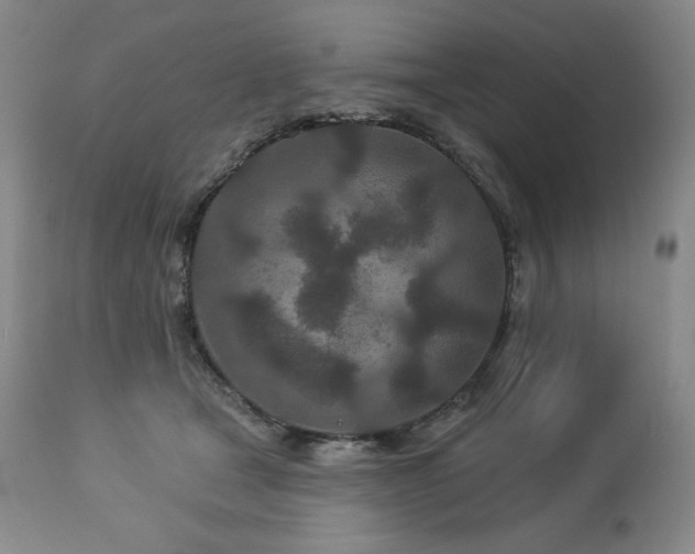 X0000113120465200908281442