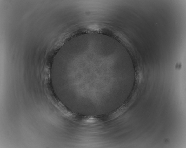 X0000113120467200908281442