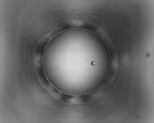 X0000113120468200908281442